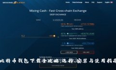 比特币钱包下载全攻略：选择、安装与