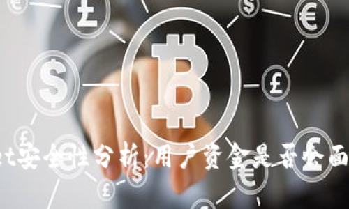 tpWallet安全性分析:用户资金是否会面临风险?