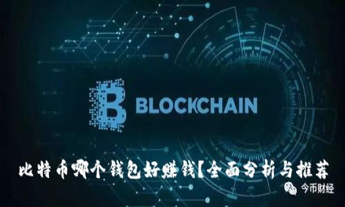 比特币哪个钱包好赚钱？全面分析与推荐