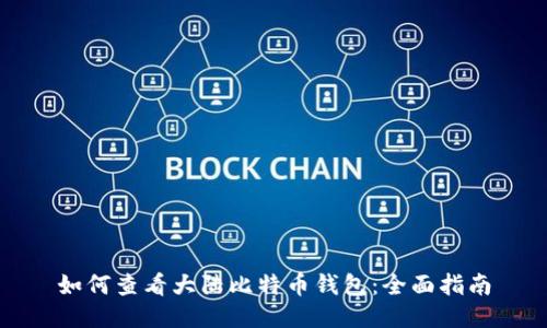 如何查看大陆比特币钱包：全面指南