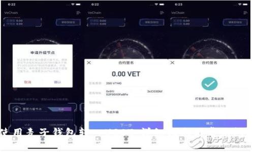 如何使用麦子钱包转入USDT：详细指南与常见问题解答