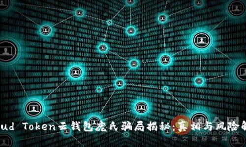 Cloud Token云钱包庞氏骗局揭秘：真相与风险解析