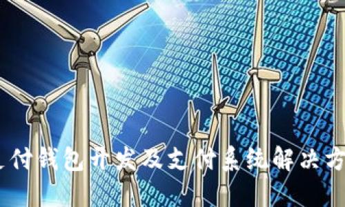 USDT支付钱包开发及支付系统解决方案详解