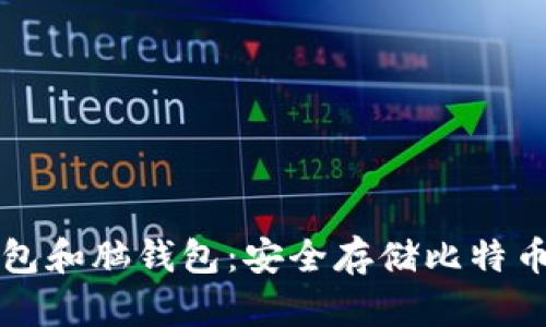 比特币纸钱包和脑钱包：安全存储比特币的终极指南