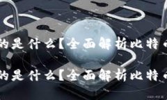 比特币钱包存放的是什么？全面解析比