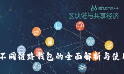 USDT不同链路钱包的全面解析与使用指南