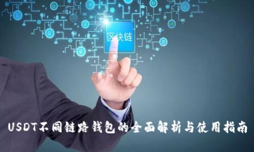 USDT不同链路钱包的全面解析与使用指南