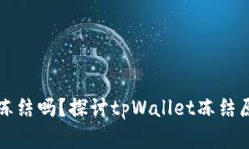 tpWallet会被冻结吗？探讨tpWallet冻结原因及解决方案