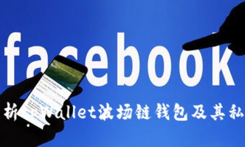全面解析tpWallet波场链钱包及其私钥管理