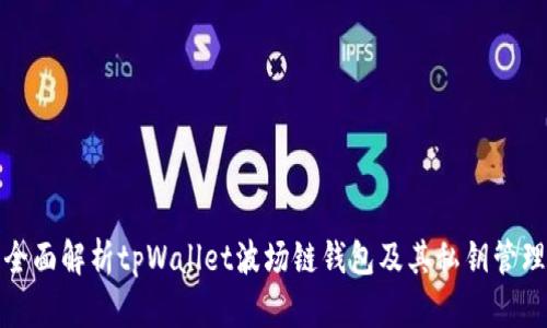 全面解析tpWallet波场链钱包及其私钥管理