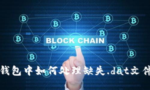 比特币钱包中如何处理缺失.dat文件的问题