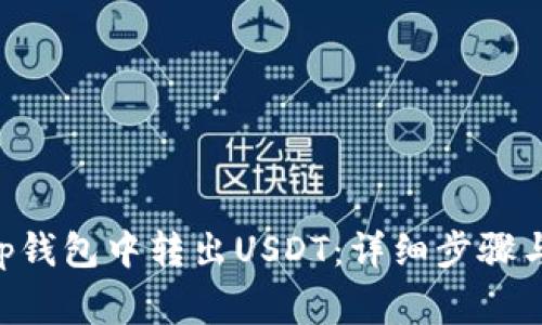 如何在BitKeep钱包中转出USDT：详细步骤与常见问题解析