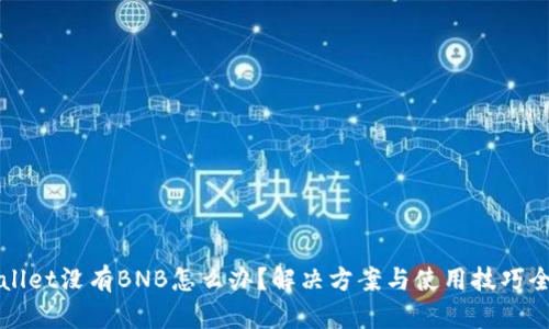 tpWallet没有BNB怎么办？解决方案与使用技巧全解析