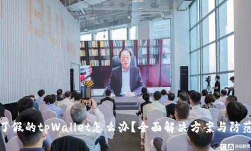 下载了假的tpWallet怎么办？全面解决方案与防范措施