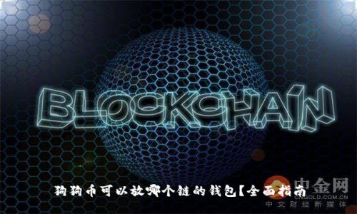 狗狗币可以放哪个链的钱包？全面指南