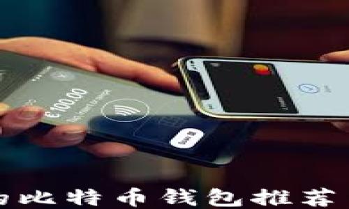 
安全可靠的比特币钱包推荐与使用指南