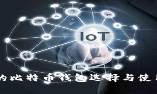 中国的比特币钱包选择与使用指南