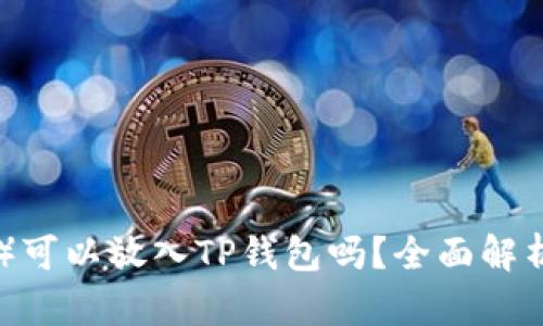 瑞波币（XRP）可以放入TP钱包吗？全面解析与使用指南