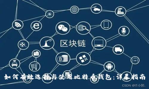 如何有效选择与使用比特币钱包：详尽指南