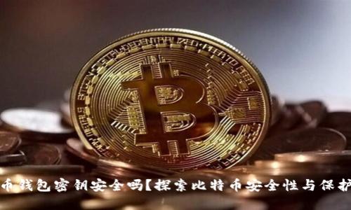 比特币钱包密钥安全吗？探索比特币安全性与保护措施