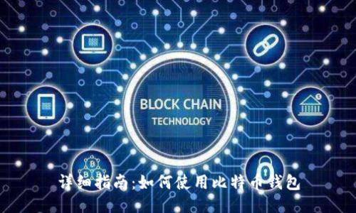 详细指南：如何使用比特币钱包