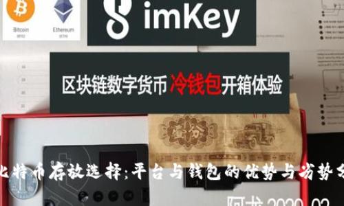 : 比特币存放选择：平台与钱包的优势与劣势分析