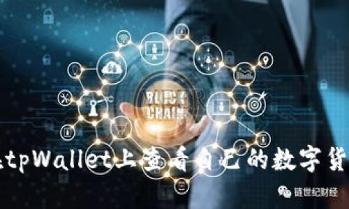 如何在tpWallet上查看自己的数字货币资产