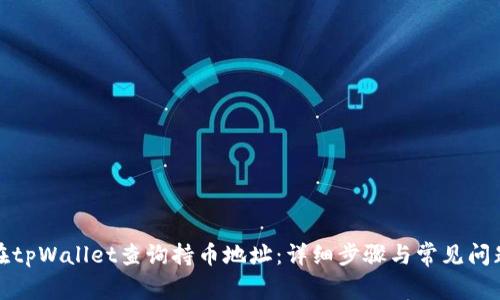 如何在tpWallet查询持币地址：详细步骤与常见问题解答