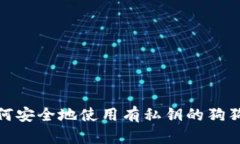 bias如何安全地使用有私钥的狗狗币钱