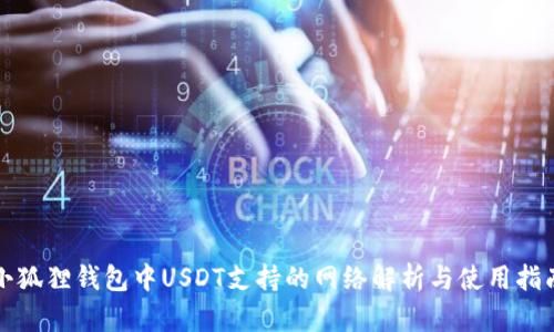 小狐狸钱包中USDT支持的网络解析与使用指南