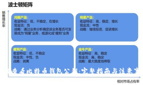 如何查看比特币钱包公钥：完整指南与注意事项