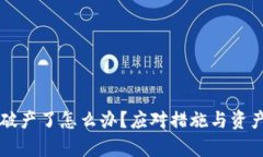 tpWallet破产了怎么办？应对措施与资产