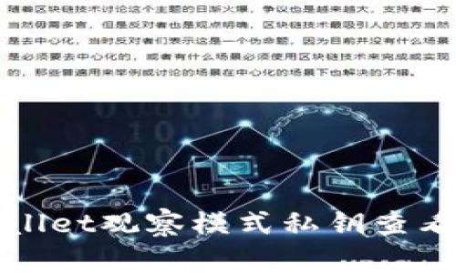 tpWallet观察模式私钥查看指南